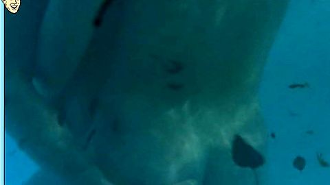 Pic: Nína Dögg Filippusdóttir in The Sea (2002)