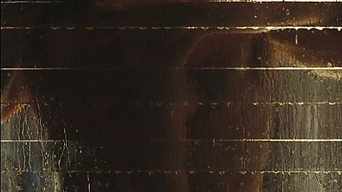 Pic: Bridget Moynahan in Lord of War (2005)