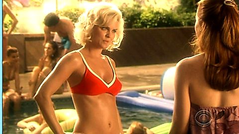 Pic: Heidi Marnhout in Swingtown (2008)