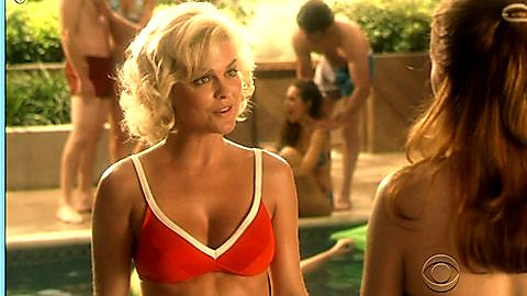 Pic: Heidi Marnhout in Swingtown (2008)