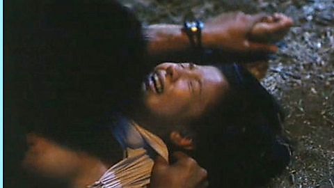 Pic: Maui Taylor in Ang huling birhen sa lupa (2003)