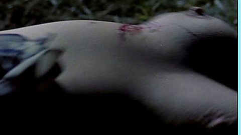 Pic: Pilar Castel in What Have You Done to Solange? (1972)