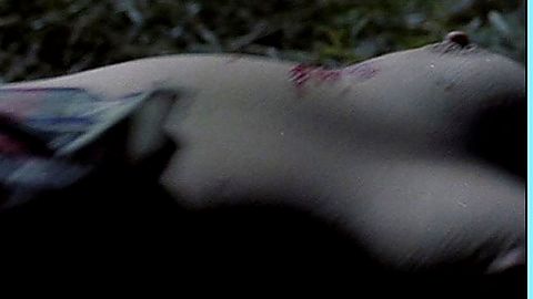 Pic: Pilar Castel in What Have You Done to Solange? (1972)
