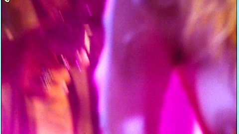 Pic: Sheri Moon Zombie in The Devil's Rejects (2005)