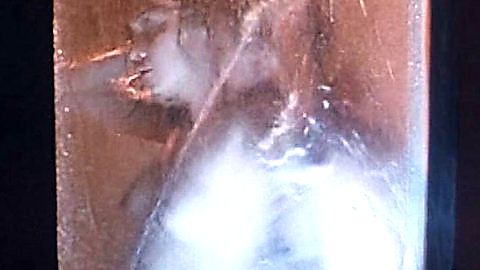 Pic: Via Veloso in Troublesome Night 4 (1998)