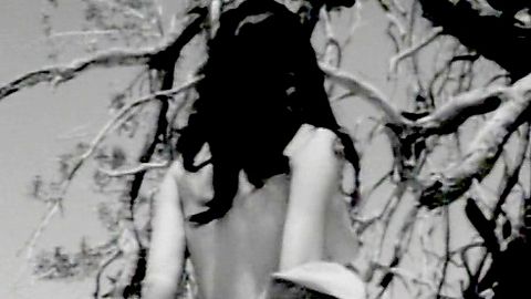Pic: Haji  in Motor Psycho (1965)