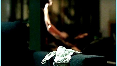 Pic: Nina Kunzendorf in Die Nachrichten (2005)