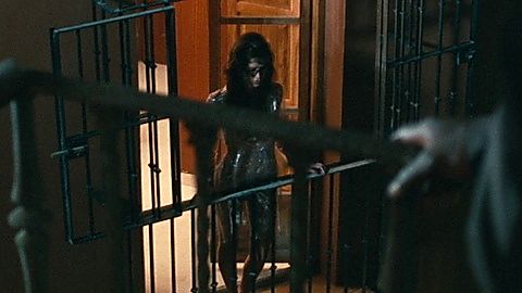 Pic: Paz de la Huerta in The Limits of Control (2009)