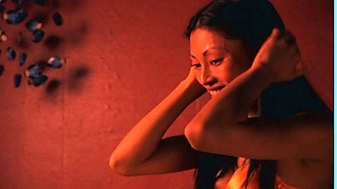 Pic: Kira Clavell in Rub & Tug (2002)