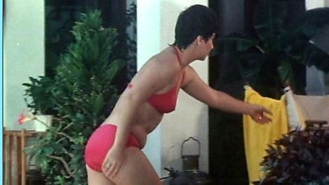 Pic: Dana Christina in The Stabilizer (1984)