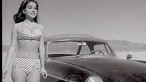 Pic: Susan Bernard in Faster, Pussycat! Kill! Kill! (1965)