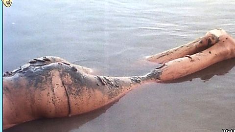 Pic: Pilar Velázquez in Fury (1979)