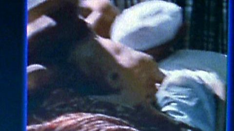 Pic: Ragna Pitoll in Fatal Online Affair (1999)