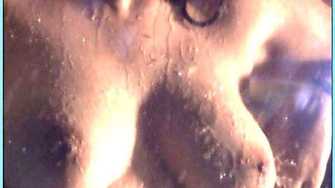 Pic: Katya Santos in Wet, Wild & Kinky (2004)