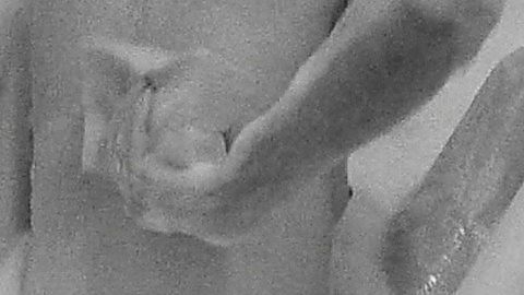 Pic: Ann Harris in The Honeymoon Killers (1969)