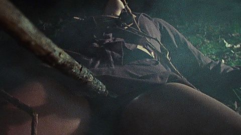 Pic: Ellen Sandweiss in The Evil Dead (1981)