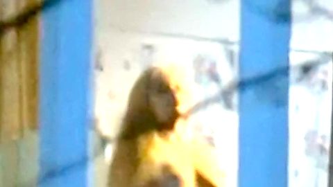 Pic: Alexandra Hay in 1,000 Convicts and a Woman (1971)