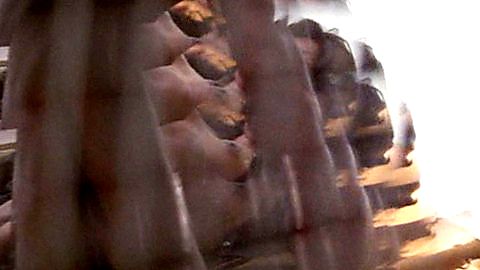 Pic: Kathy Imrie in Shaft's Big Score! (1972)