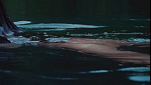 Pic: Megan Fox in Jennifer's Body (2009)