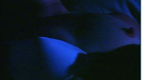 Pic: Amanda Watson in S.I.C.K. Serial Insane Clown Killer (2003)
