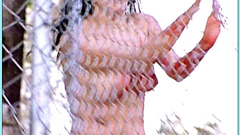 Pic: Rina Fernandez in The Shield (2002)