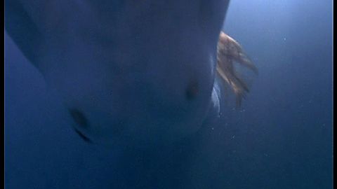 Pic: Simone-Élise Girard in The Hunger (1997)