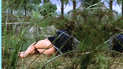 Pic: Chen Ping in The Vengeful Beauty (1978)