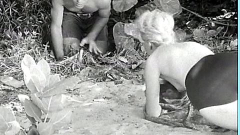 Pic: Tania Velia in Fiend of Dope Island (1961)