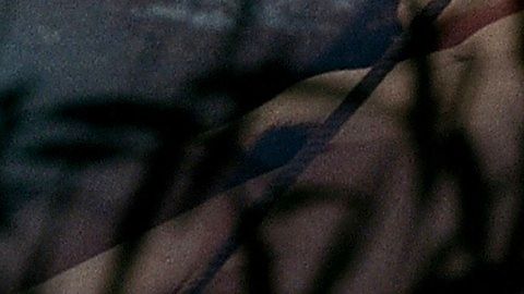 Pic: Sonia Rangan in Chato's Land (1972)