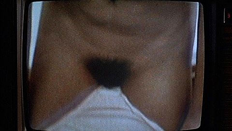 Pic: Lisa Welch in Revenge of the Nerds (1984)