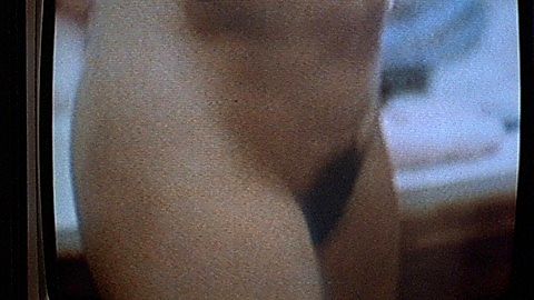 Pic: Lisa Welch in Revenge of the Nerds (1984)