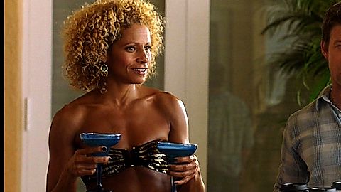 Pic: Michelle Hurd in The Glades (2010)