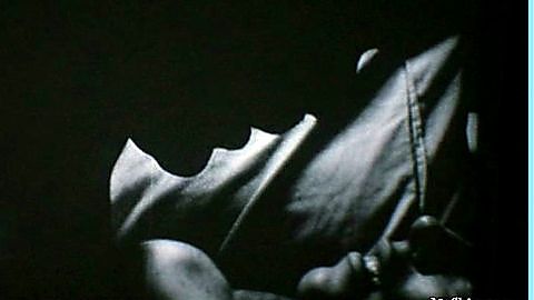 Pic: Julianne Nicholson in Kinsey (2004)