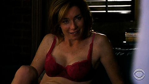 Pic: Julianne Nicholson in The Good Wife