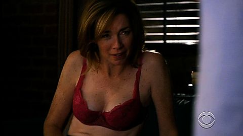 Pic: Julianne Nicholson in The Good Wife