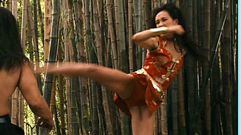 Pic: Maggie Q in Balls of Fury (2007)