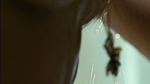 Pic: Zoe Saldana in Colombiana (2011)
