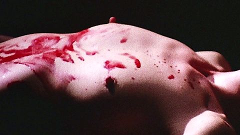 Pic: Erna Schürer in Strip Nude for Your Killer (1975)