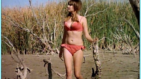 Pic: Vicky Dee in Common Law Cabin (1967)