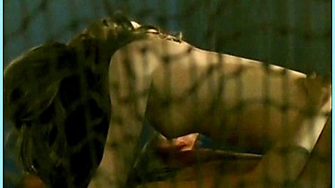 Pic: Josefine Preuss in Küss mich, Genosse! (2007)