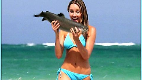 Pic: Amanda Bynes in Love Wrecked (2005)