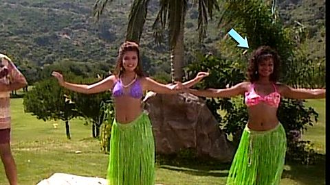 Pic: Lark Voorhies in Saved by the Bell: Hawaiian Style (1992)