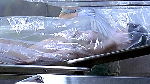 Pic: Clementine Ford in Cherry Falls (2000)
