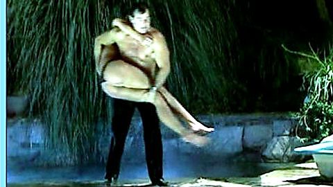 Pic: Adrianne Curry in The Surreal Life (2003)