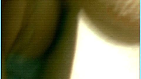 Pic: Milena Dreißig in Muxmäuschenstill (2004)