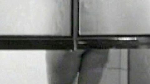 Pic: Birke Bruck in Die Rechnung - Eiskalt Serviert (1966)