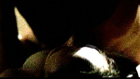 Pic: Elliott Page in Mouth to Mouth (2005)