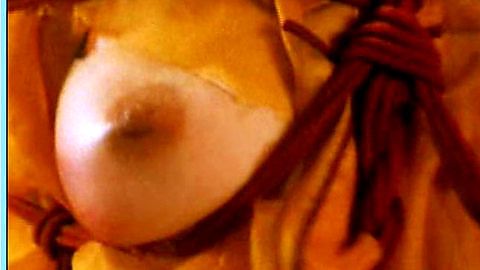 Pic: Mai Ching in A Chinese Torture Chamber Story (1995)