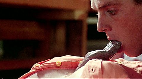Pic: Kim Myers in A Nightmare on Elm Street 2 (1985)