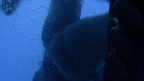 Pic: Sherry Buchanan in Tentacles (1977)